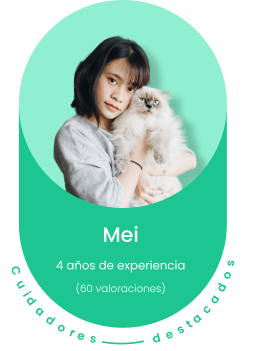 Tarjeta de cuidadores destacados